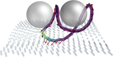 Entangled nematic disclinations using multi-particle collision dynamics