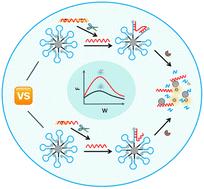 A recognition-induced three-dimensional bipedal DNA walker for highly sensitive detection of APE1†