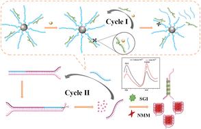 Label-free ratiometric fluorescence detection of Pb2+via structure-specific fluorescent dyes and dual signal amplification