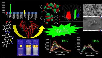 A fluorescent “Turn-ON” probe with rapid and differential response to HSA and BSA: quantitative detection of HSA in urine†