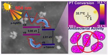 NIR-responsive nano-holed titanium alloy surfaces: a photothermally activated antimicrobial biointerface†