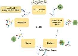 Prediction of aptamer affinity using an artificial intelligence approach