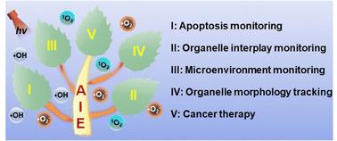 Dual-/multi-organelle-targeted AIE probes associated with oxidative stress for biomedical applications