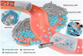 Intravascular elimination of circulating tumor cells and cascaded embolization with multifunctional 3D tubular scaffolds†