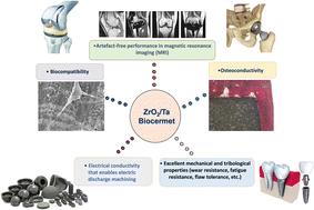 A zirconia/tantalum biocermet: in vitro and in vivo evaluation for biomedical implant applications