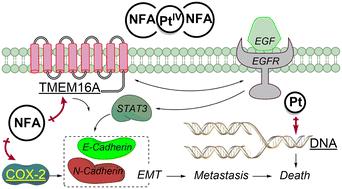 Pt(iv) derivatives of cisplatin and oxaliplatin bearing an EMT-related TMEM16A/COX-2-selective dual inhibitor against colorectal cancer cells HCT116†