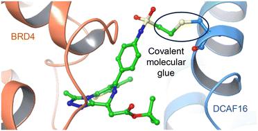 Synthetic modification of protein surfaces to mediate induced-proximity pharmacology