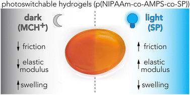 Photoresponsive hydrogel friction†