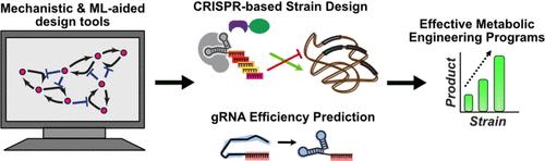 Systems-Level Modeling for CRISPR-Based Metabolic Engineering