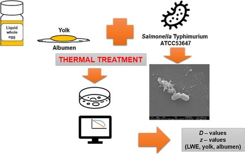 Thermal Resistance of Avirulent Salmonella Enterica Serovar Typhimurium in Albumen, Yolk, and Liquid Whole Egg