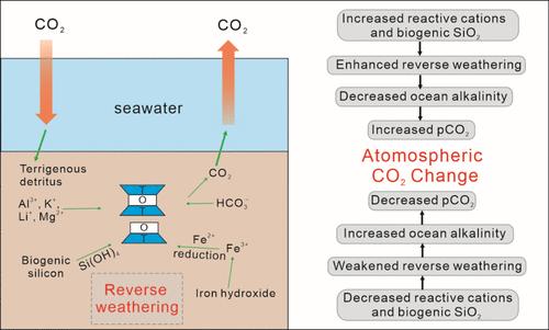 Advances in Reverse Weathering and Its Role in Clay Mineral Formation and the Carbon Dioxide Cycle