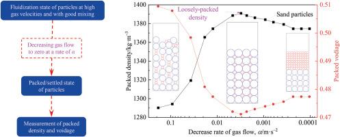 Influences of polymorphism of packed particles on bulk characterizations in fluidization realm