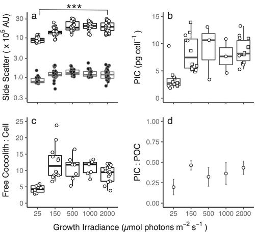 Calcification increases carbon supply, photosynthesis, and growth in a globally distributed coccolithophore