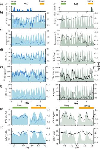 Efficient oxidation attenuates porewater-derived methane fluxes in mangrove waters