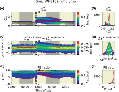 Phytoplankton cell-states: multiparameter fluorescence lifetime flow-based monitoring reveals cellular heterogeneity