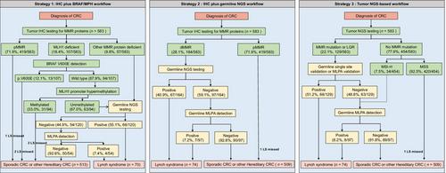 Approaches for Lynch syndrome screening and characteristics of subtypes with mismatch repair deficiency in patients with colorectal carcinoma