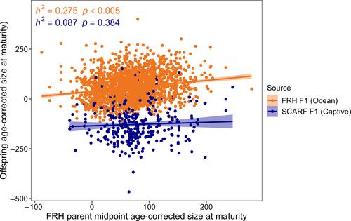 Reintroduction of spring-run Chinook salmon in the San Joaquin River: Evaluating genetic and phenotypic effects of captive breeding