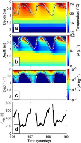 Transport and mixing observed in a pond: Description of wind-forced transport processes and quantification of mixing rates