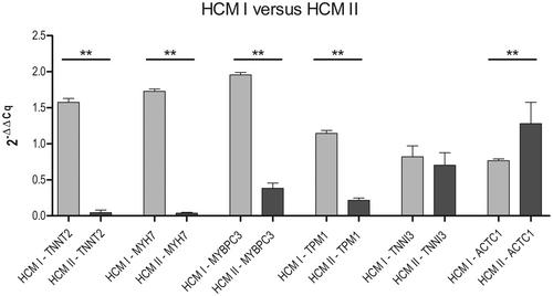 Feline hypertrophic cardiomyopathy: Does the microRNA-mRNA regulatory network contribute to heart sarcomeric protein remodelling?