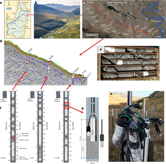 Hydrological control of rock carbon fluxes from shale weathering