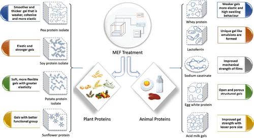 Protein Gels Influence of Moderate Electric Field on Its Structure, Aggregation, and Gelation Properties─A Recent Update