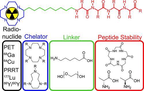 Peptide PET Imaging: A Review of Recent Developments and a Look at the Future of Radiometal-Labeled Peptides in Medicine