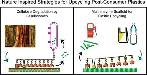 Nature-Inspired Strategies for Sustainable Degradation of Synthetic Plastics