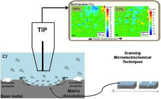 A review on the synergism between corrosion and fatigue of magnesium alloys: Mechanisms and processes on the micro-scale