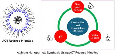 Alginate nanoparticle synthesis using n-heptane and isopropyl myristate/AOT reverse micelles: the impact of the non-polar solvent, water content, and pH on the particle size and cross-linking efficiency†