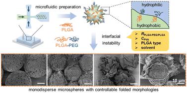 Microfluidic preparation of monodisperse PLGA-PEG/PLGA microspheres with controllable morphology for drug release†