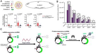 Critical considerations of mRNA–LNP technology for CAR-T therapy: components, payloads and emerging horizons