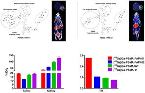 Development and biological evaluation of PSMA/FAP dual targeting radiotracers for prostate cancer imaging†