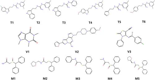 A time-efficient computational binding affinity estimation protocol with utilization of limited experimental data: A case study for adenosine receptor