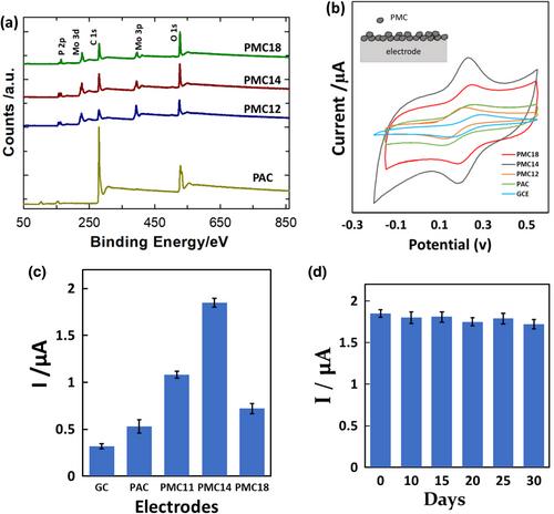 Eco-Friendly Synthesis of Porous Molybdenum Carbide Nanomaterials for Advanced Electrochemical Sensing Applications