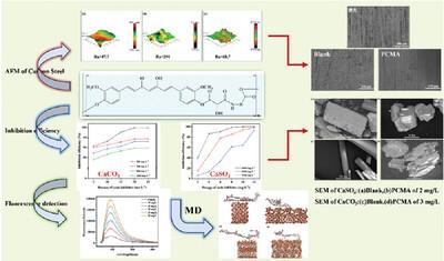 Study on the Scale and Corrosion Inhibition Effect of Curcumin-Based Novel Polymers