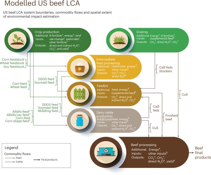 Greenhouse gas emissions in US beef production can be reduced by up to 30% with the adoption of selected mitigation measures