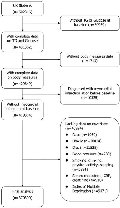 Association of triglyceride-glucose index and its combination with adiposity-related indices with the incidence of myocardial infarction: a cohort study from the UK Biobank