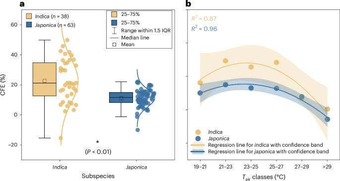 Rising atmospheric carbon dioxide concentrations increase gaps of rice yields between low- and middle-to-high-income countries