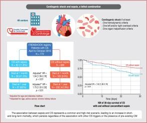 Cardiogenic shock and infection: A lethal combination