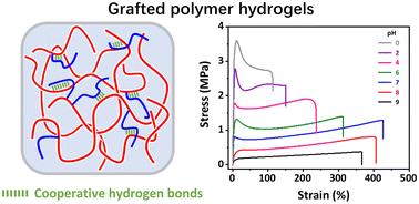 Tough supramolecular hydrogels of poly(N,N-dimethylacrylamide)-grafted poly(methacrylic acid) with cooperative hydrogen bonds as physical crosslinks†