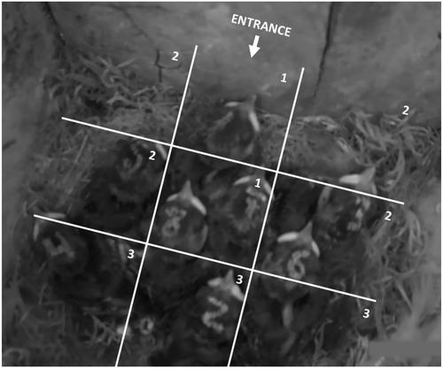 Nestling sex and behaviour determine the host preference of insect vectors in avian nests