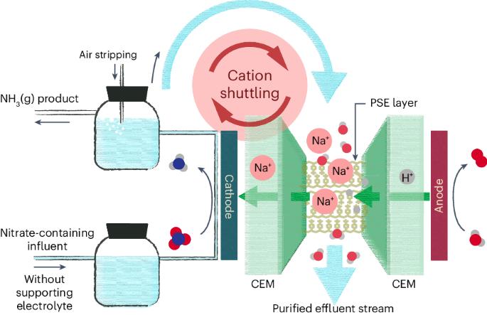 Electrochemical nitrate reduction to ammonia with cation shuttling in a solid electrolyte reactor