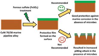 Effect of ferrous sulfate treatment on microbially influenced corrosion of CuNi 70/30 marine pipeline alloy by sulfate reducing bacteria†