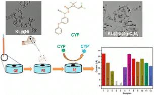 Detection of toxic cypermethrin pesticides in drinking water by simple graphitic electrode modified with Kraft lignin@Ni@g-C3N4 nano-composite†