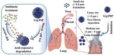 Size-tailored and acid-degradable polyvinyl alcohol microgels for inhalation therapy of bacterial pneumonia†