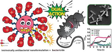 Soft nanoparticles as antimicrobial agents and carriers of microbiocides for enhanced inhibition activity†