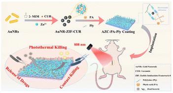 Chemo-photothermal therapy of bacterial infections using metal–organic framework-integrated polymeric network coatings†