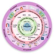 Nanozymes in cancer immunotherapy: metabolic disruption and therapeutic synergy