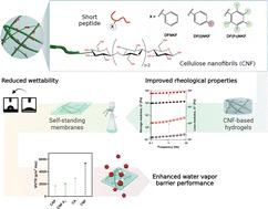 Nanocellulose-short peptide self-assembly for improved mechanical strength and barrier performance†