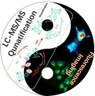 Quantitatively analyzing the dissociation and release of disulfide-containing organic nanoparticles†